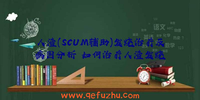 人渣(SCUM辅助)发烧治疗及病因分析